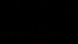 don't follow or interact if you're racist, homophobic, transphobic, sexist, etc. or if you are disrespectful to others