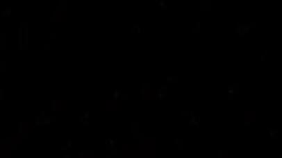 ✦ Music Stray Kids, Nmixx, Katseye, The Beatles,José José, Wings, New Jeans, Xdinary Heroes, Mitski, The doors, Young Posse, Blondie, etc. ✦ Media Breaking Bad, Better Call Saul, 31 minutos, The Exterminio Saga, Fall out, Peppa Pig